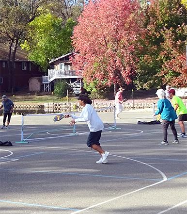 Sports Courts